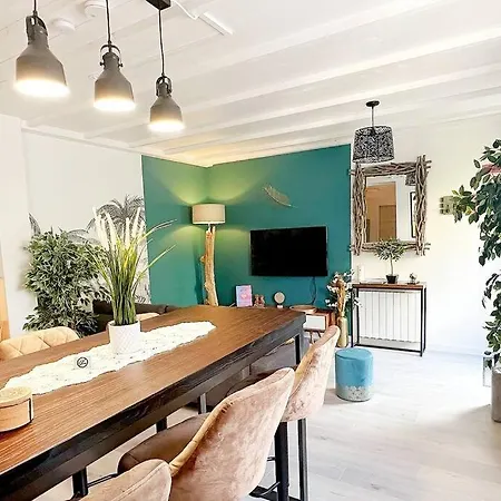 Loasis - Duplex T4 Hypercentre * Villefranche-sur-Saone